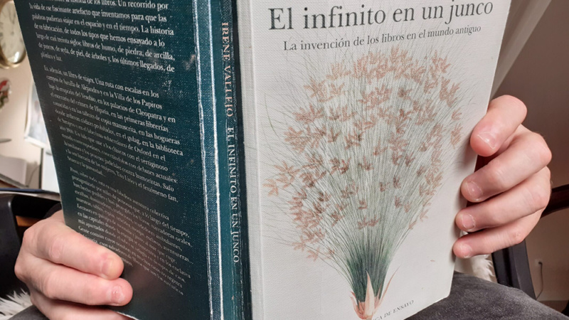 «El infinito en un junco», un viaje erudito y cautivante por la historia del libro