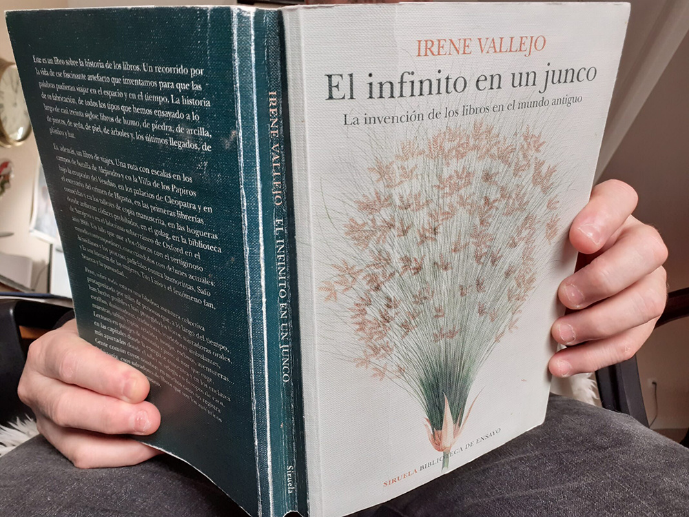 «El infinito en un junco», un viaje erudito y cautivante por la historia del libro
